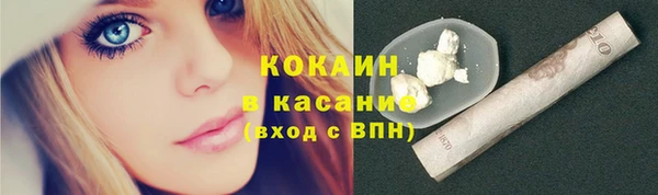 ГАЛЛЮЦИНОГЕННЫЕ ГРИБЫ Вяземский