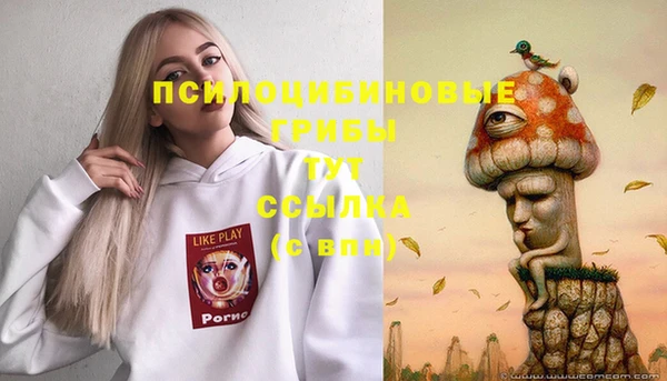 ГАЛЛЮЦИНОГЕННЫЕ ГРИБЫ Вяземский