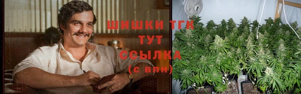 спиды Вязьма