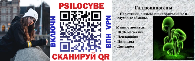 Галлюциногенные грибы Psilocybe  Купить где  Коряжма 